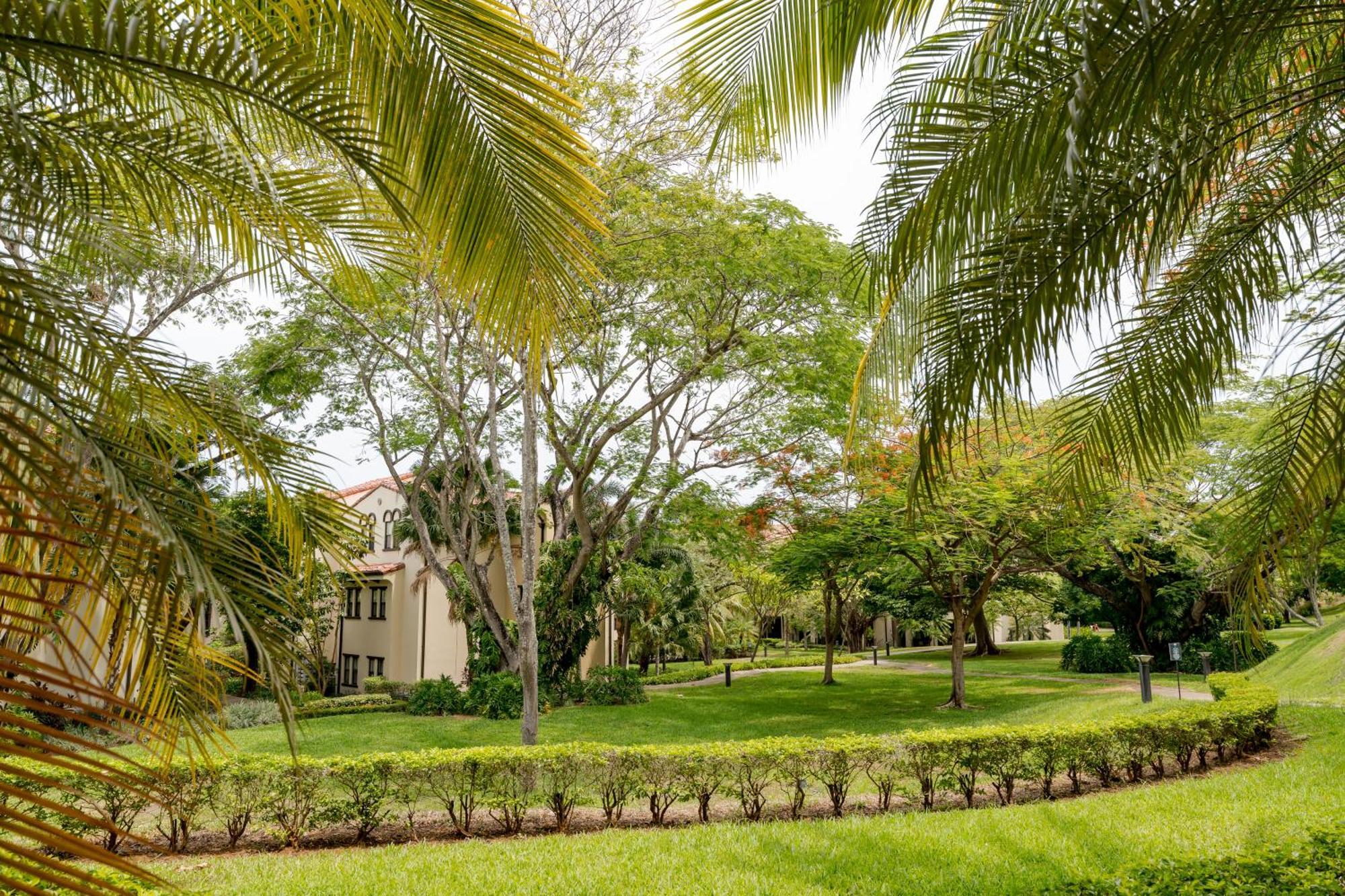 Coco Breeze Private Residence Dış mekan fotoğraf
